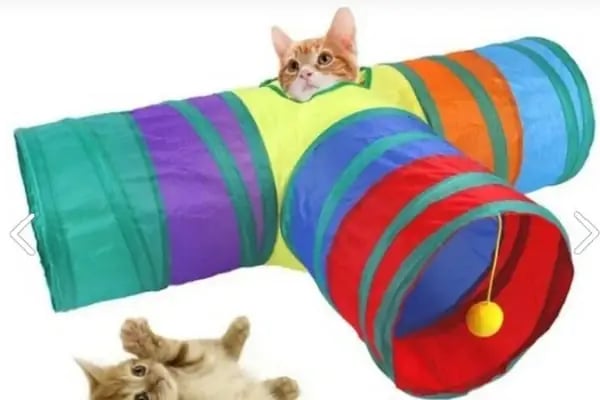 ilkay petshop-pet market - Resim 14