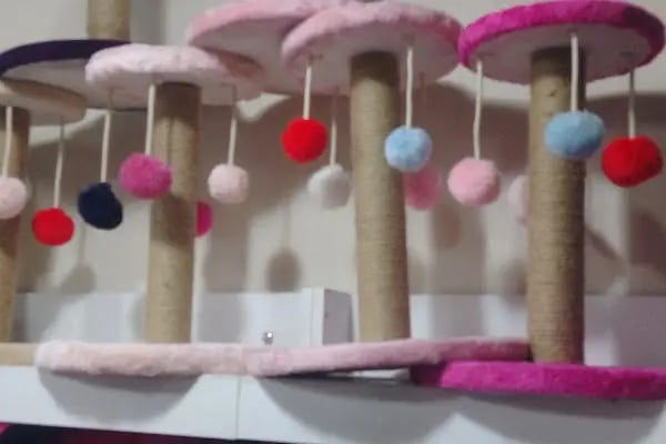ilkay petshop-pet market - Resim 18