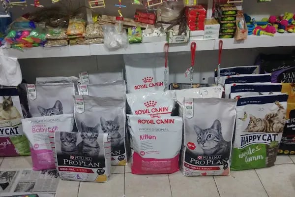 ilkay petshop-pet market - Resim 19