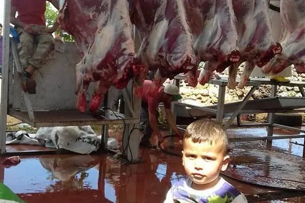KOÇ BESİ ÇİFTLİĞİ - Resim 3