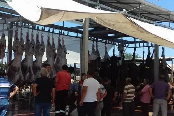 KOÇ BESİ ÇİFTLİĞİ - Resim 7