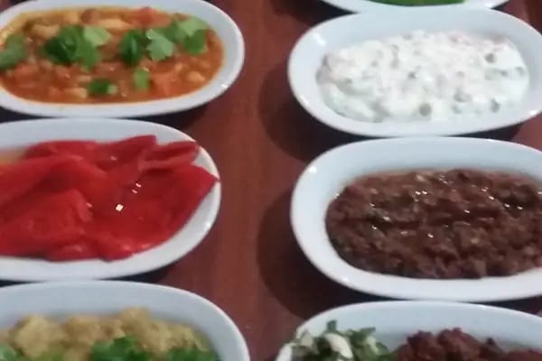 Aslan Dağevi Restoran - Resim 10