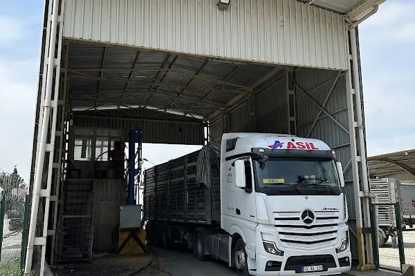 Cp Yem Fabrikası - Resim 4