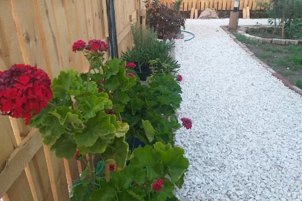 Riviera Bungalow Evleri Demre - Resim 8