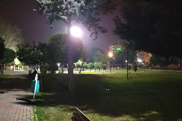Yalçın Parkı - Resim 15