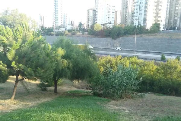 Yalçın Parkı - Resim 19