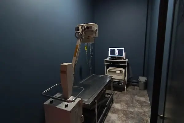 Yalıkavak Veteriner - Patibazz Veteriner Kliniği - Resim 16