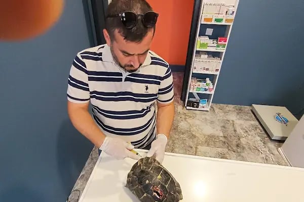 Yalıkavak Veteriner - Patibazz Veteriner Kliniği - Resim 6