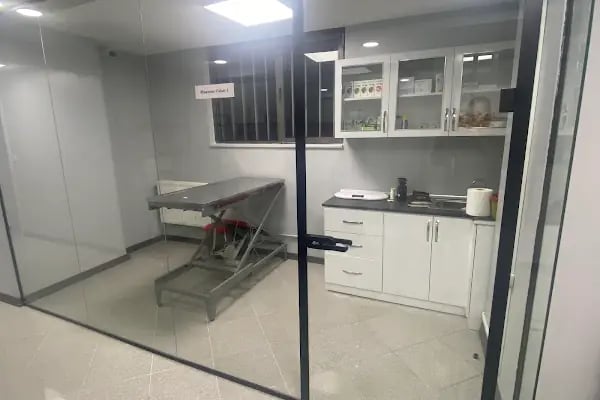 Londra Veteriner Kliniği 7/24 ACİL VETERİNER BAHÇELİEVLER - Resim 14