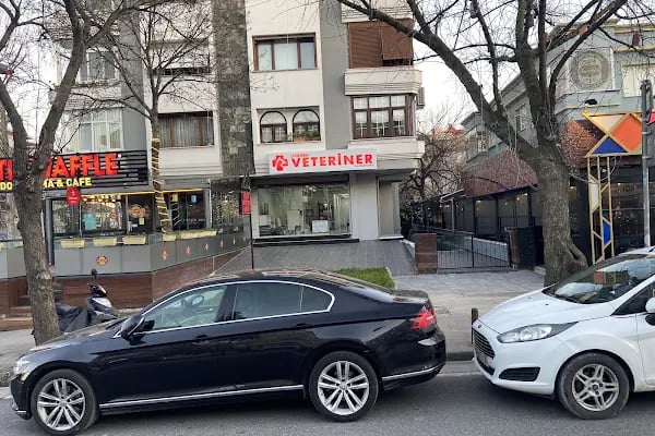 Londra Veteriner Kliniği 7/24 ACİL VETERİNER BAHÇELİEVLER - Resim 6