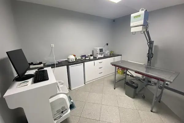 Londra Veteriner Kliniği 7/24 ACİL VETERİNER BAHÇELİEVLER - Resim 11
