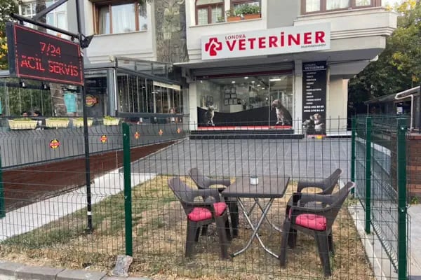 Londra Veteriner Kliniği 7/24 ACİL VETERİNER BAHÇELİEVLER - Resim 3