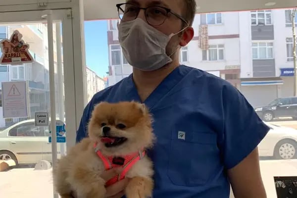 Güneşli Veteriner Kliniği - Resim 20