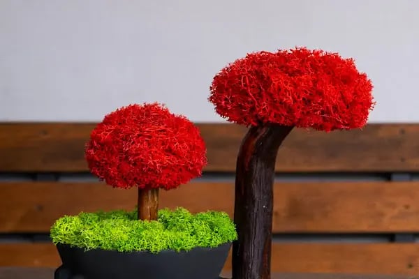 Mossier Çiçek - Çiçekçilik - Hediyelik Eşya - Resim 13