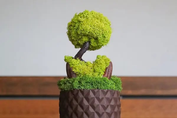 Mossier Çiçek - Çiçekçilik - Hediyelik Eşya - Resim 17