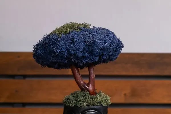 Mossier Çiçek - Çiçekçilik - Hediyelik Eşya - Resim 2