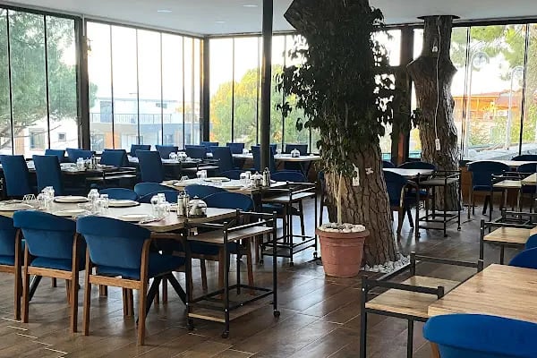 Pine Tree Otel - Resim 17