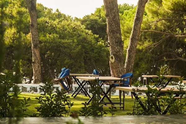 Pine Tree Otel - Resim 13