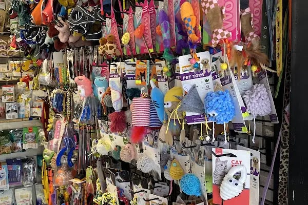 PET TIME PETSHOP - Resim 11