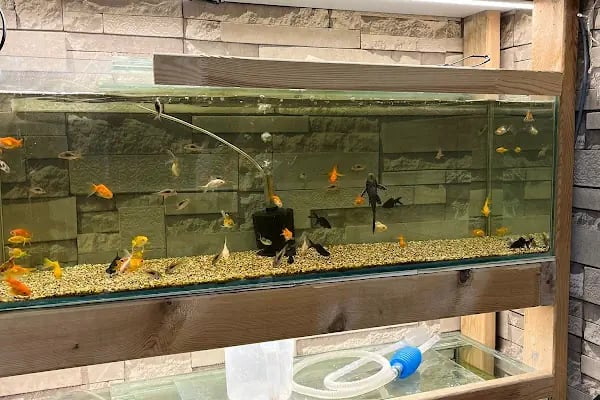 PET TIME PETSHOP - Resim 20
