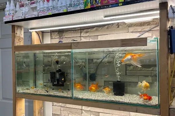 PET TIME PETSHOP - Resim 18