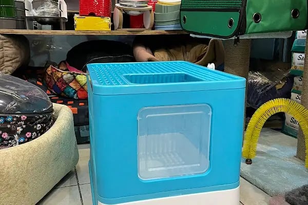 PET TIME PETSHOP - Resim 19