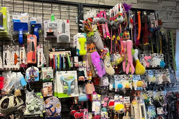 PET TIME PETSHOP - Resim 5