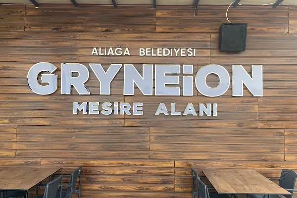 GRYNEİON (HACİÖMERLİ) MESİRE ALANI - Resim 12