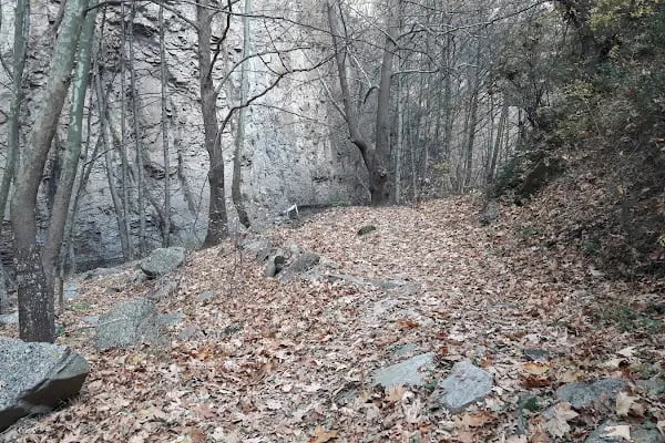ATRANOS TERMAL OTEL - Resim 16