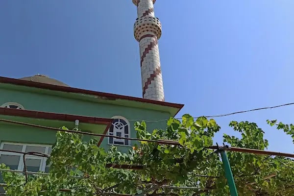Selimiye Yeni Cami - Resim 10