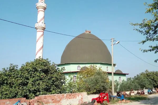 Selimiye Yeni Cami - Resim 20