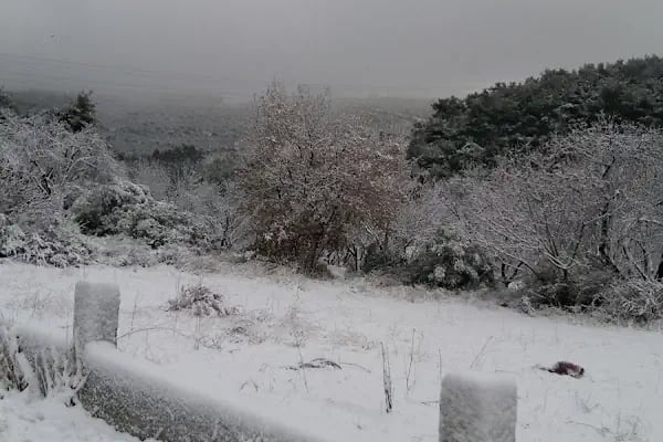 Çiçekli Milli Parkı - Resim 5