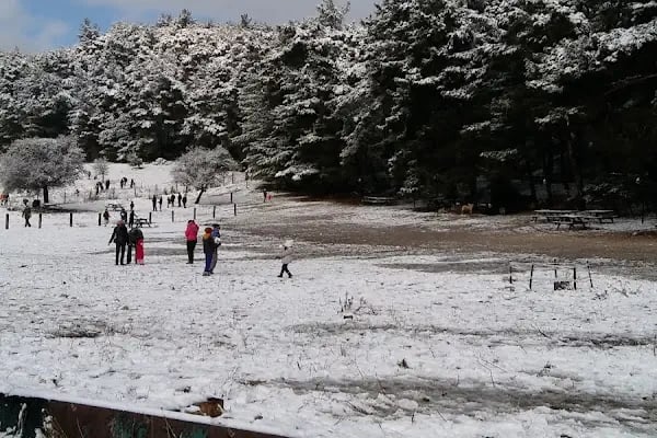 Çiçekli Milli Parkı - Resim 14