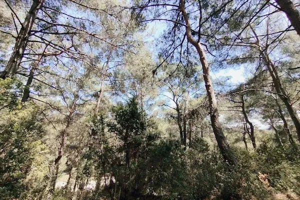 Çiçekli Milli Parkı - Resim 16