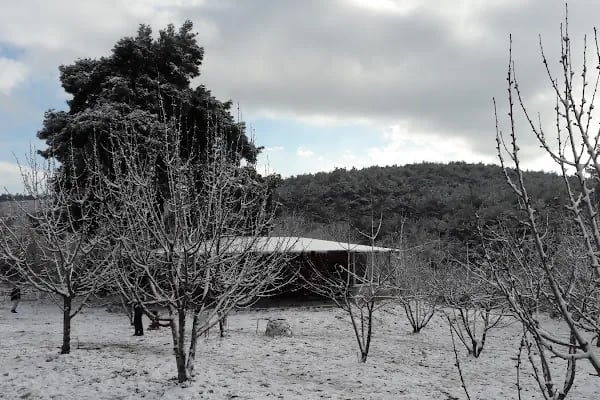 Çiçekli Milli Parkı - Resim 18
