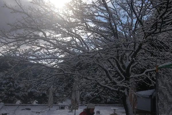 Çiçekli Milli Parkı - Resim 20