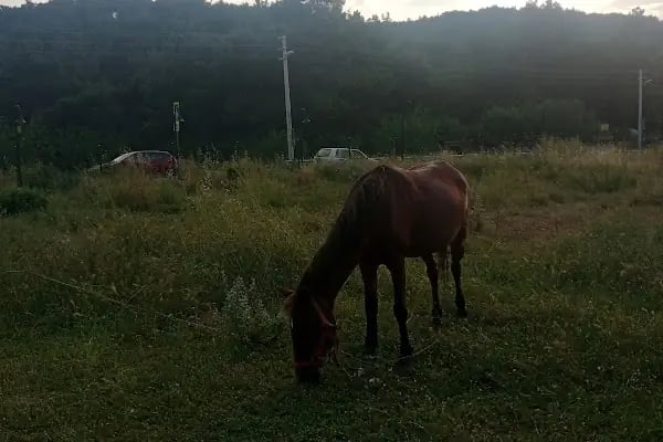 Çiçekli Milli Parkı - Resim 6