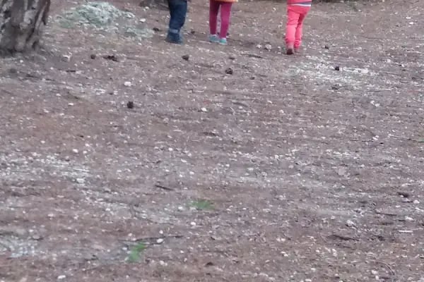 Çiçekli Milli Parkı - Resim 19