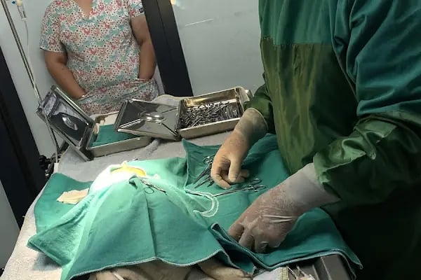 Mersin PetVET Veteriner Kliniği - Resim 7