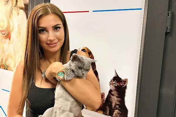 Mersin PetVET Veteriner Kliniği - Resim 3