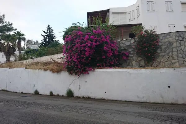 Müze Sitesi - Resim 9