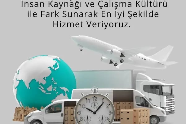 Asay Gümrük Müşavirliği - Resim 2