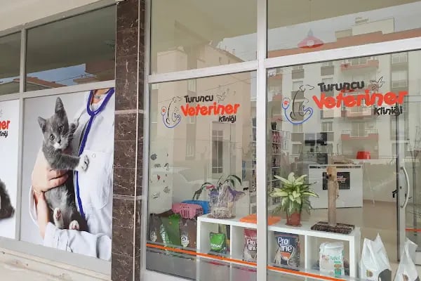 Turuncu Veteriner Kliniği - Resim 2