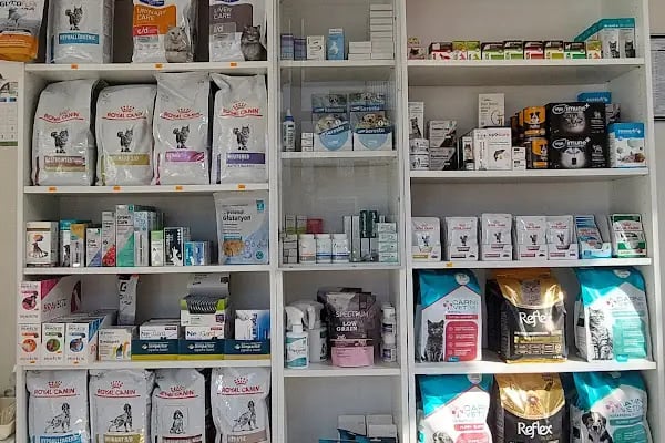 Turuncu Veteriner Kliniği - Resim 6