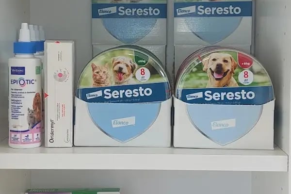 Turuncu Veteriner Kliniği - Resim 7