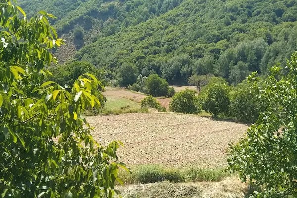 Marport Liman İsletmeciligi - Resim 14