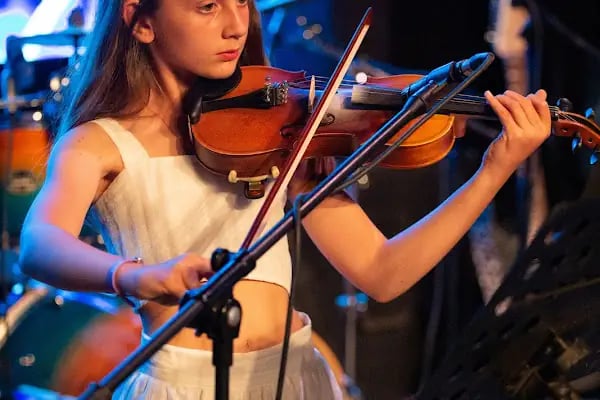 M.E.B Özel Fi Sanat Akademisi - Resim 16