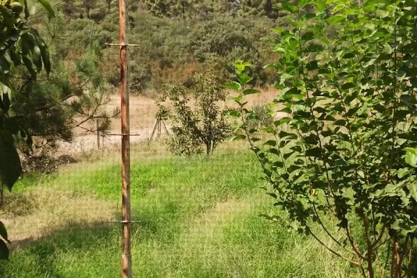 Sultaniçe Yazlık - Resim 10