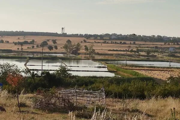Sultaniçe Yazlık - Resim 9