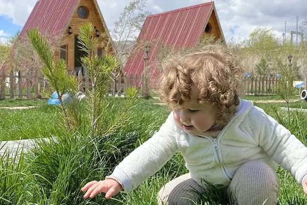 Akpınar bungalov çamardı - Resim 11